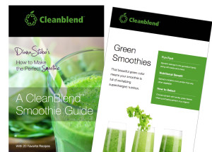 Cleanblend E-book